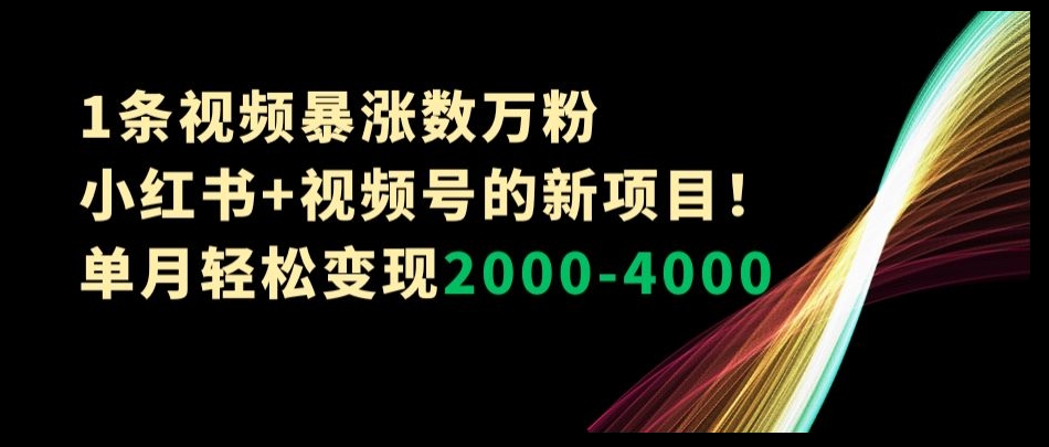 1条视频暴涨数万粉--小红书+视频号的新项目！单月轻松变现2000-4000【揭秘】