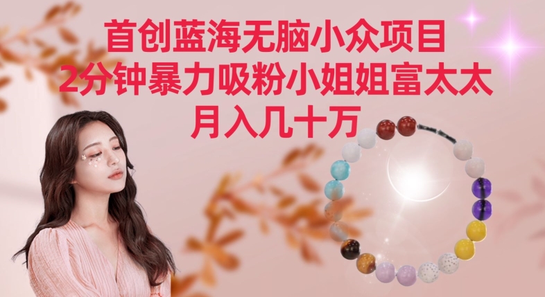 首创蓝海无脑小众项目,2分钟暴力吸粉小姐姐富太太,月入几十万【揭秘】