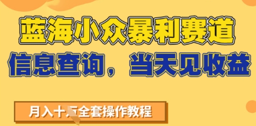 蓝海小众暴利赛道,信息查询,当天见收益,不讲玄学,7天搞了2W+