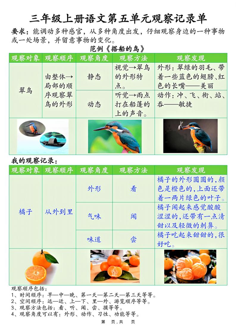 三上语文第五单元观察记录单（空白+答案14页）