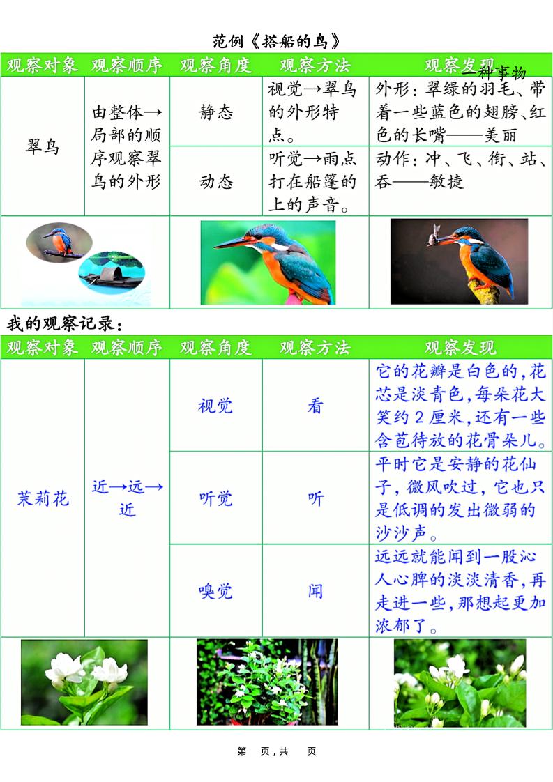 三上语文第五单元观察记录单（空白+答案14页）