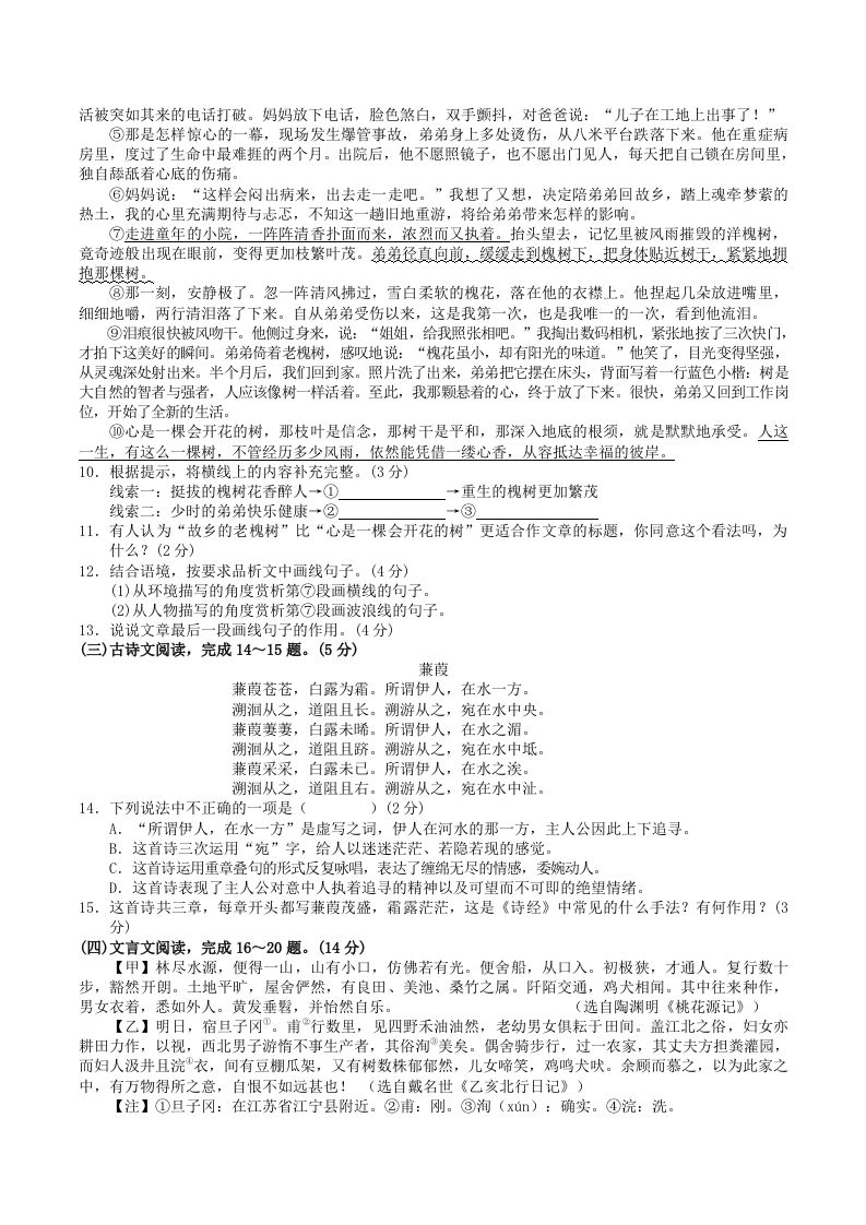 2023-2024学年广西河池市宜州区八年级下学期期中语文试题及答案(Word版)