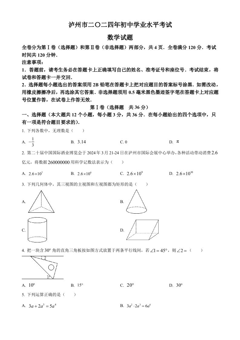 2024年四川省泸州市中考数学试题（空白卷）
