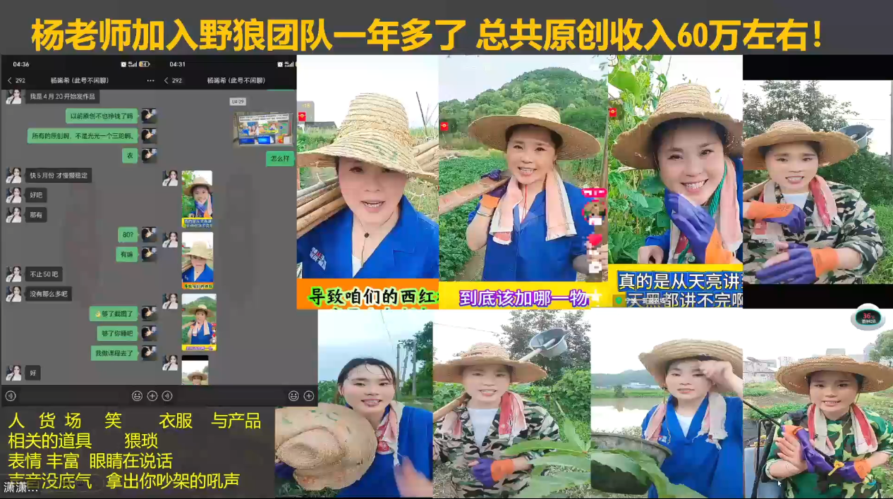 野狼团队·多平台实操运营课(更新4月)